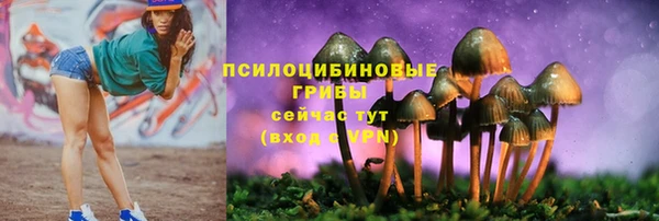 Альфа ПВП Володарск