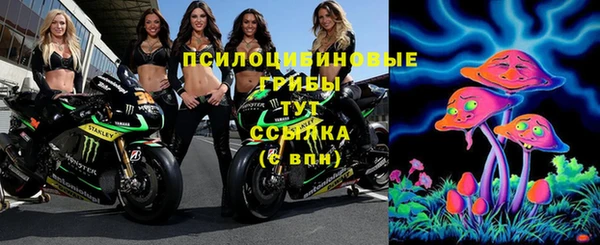 Альфа ПВП Володарск