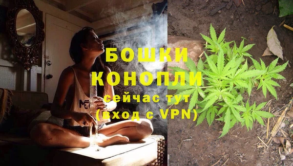 Альфа ПВП Володарск